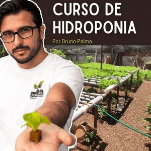 O Curso de Hidroponia Funciona? Sim, o Curso de Hidroponia funciona. O Curso de Hidroponia foi feito com uma linguagem simples e fácil para o entendimento de qualquer pessoa. Ideal para iniciantes, até mesmo para quem nunca plantou algo antes. O cronograma do nosso curso foi feito com muita atenção, que proporcionará ao aluno o melhor aprendizado possível. É um passo a passo, que vai desde a germinação da semente à colheita. Ele ensina o passo a passo de como montar vários projetos hidropônicos, como bancadas, torres, pirâmides, hidroponia na telha, floating e mais... Além de todas as aulas, o aluno ainda tem acompanhamento no grupo dos alunos, onde poderá falar diretamente com o Professor Bruno Palma e interagir com os demais alunos da turma. O Curso de Hidroponia Vale a Pena? Sim, o Curso de Hidroponia vale a pena. Você vai poder assistir as aulas em seus horários livres , ao contrário de alguns outros cursos que você precisa estar presente no dia e horário marcado.