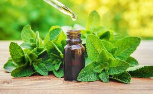 Como funciona o Curso de Terapeuta em Homeopatia Integrativa? A Homeopatia é uma terapia baseada em princípios científicos e reconhecida pela Farmacopeia Homeopática Brasileira (Anvisa). O Curso de Terapeuta em Homeopatia oferece um certificado ABRATH de 600 horas, permitindo que você trabalhe com todas as técnicas homeopáticas de forma segura e dentro da legalidade, sem a necessidade de ter um curso de ensino superior. Durante o curso, você terá suporte especializado para esclarecer todas as suas dúvidas, contribuindo ainda mais para o seu aprendizado. Além das vídeo-aulas, o material inclui apostilas em formato PDF, com todo o conteúdo disponível para download e impressão. O curso conta com mais de 120 aulas gravadas, disponíveis 24 horas por dia e 100% online. Isso permite que você assista às aulas quantas vezes quiser, adequando o seu tempo e ritmo de estudo conforme sua conveniência. Com todas essas vantagens, o Curso de Terapeuta em Homeopatia oferece uma formação sólida e completa, com embasamento científico, certificação reconhecida, suporte especializado, material didático disponível em PDF, acesso vitalício e um amplo conteúdo em mais de 120 aulas gravadas. Prepare-se para se tornar um profissional capacitado e seguro para aplicar as técnicas homeopáticas de maneira eficaz e responsável.